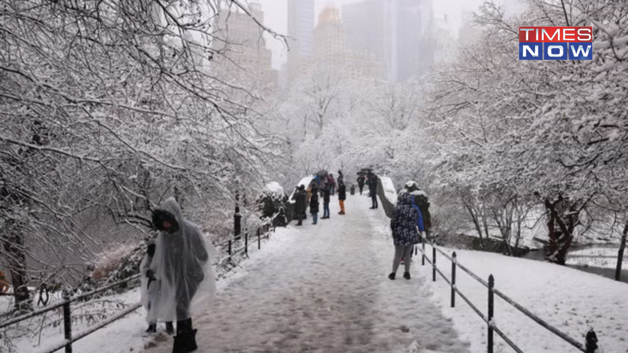 New York City Sees Most Snow In Two Years Due To Winter Storm