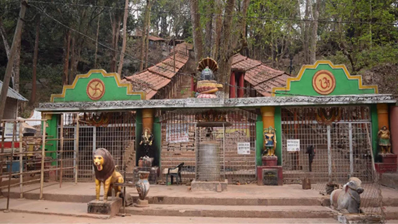 Entrance of Gupteswar Caves. Credit: ANI