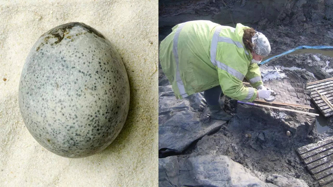 Roman Egg