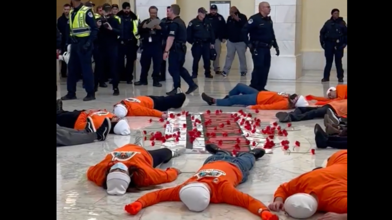 Capitol Protests