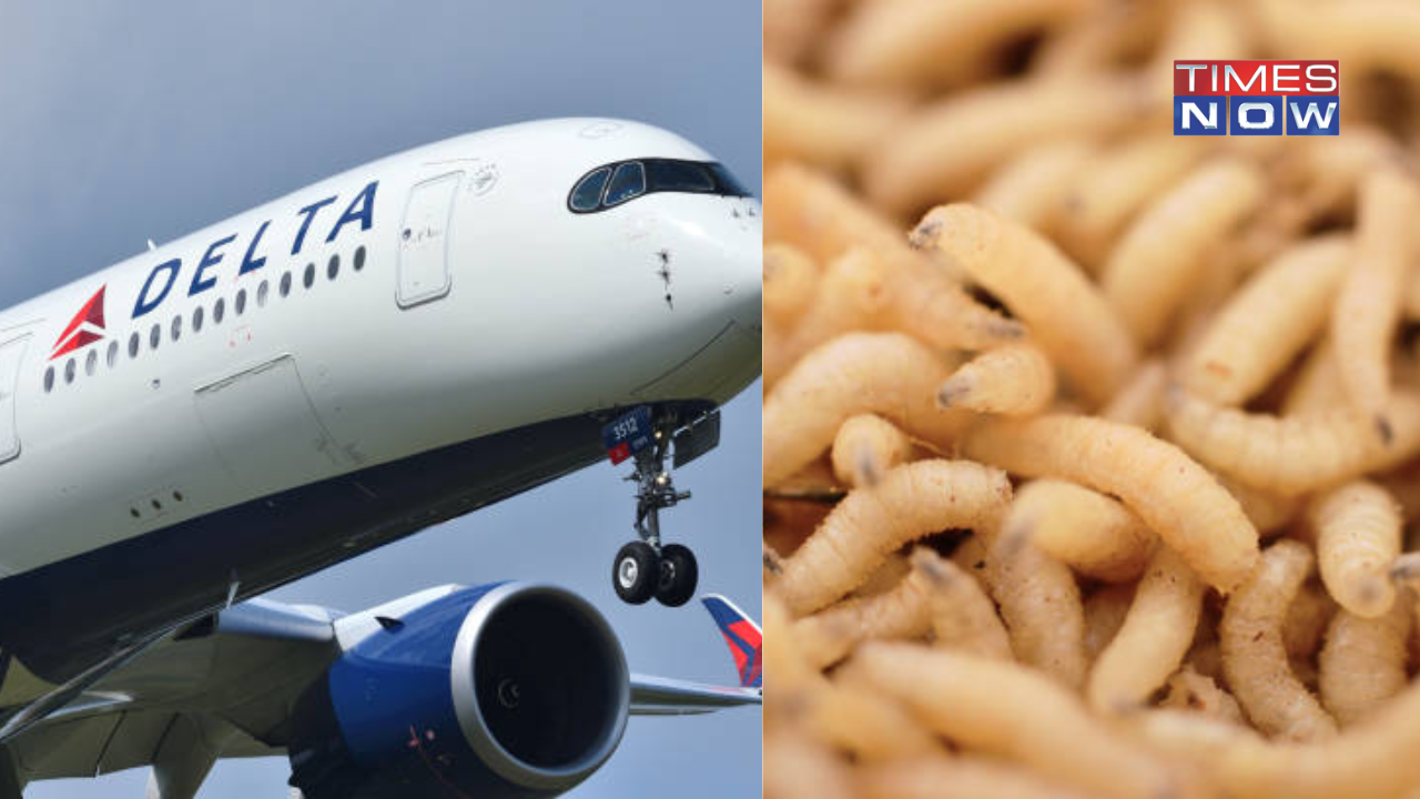 Delta Flight Forced To Land After Maggots Rain Down On Passengers From Overhead Bin