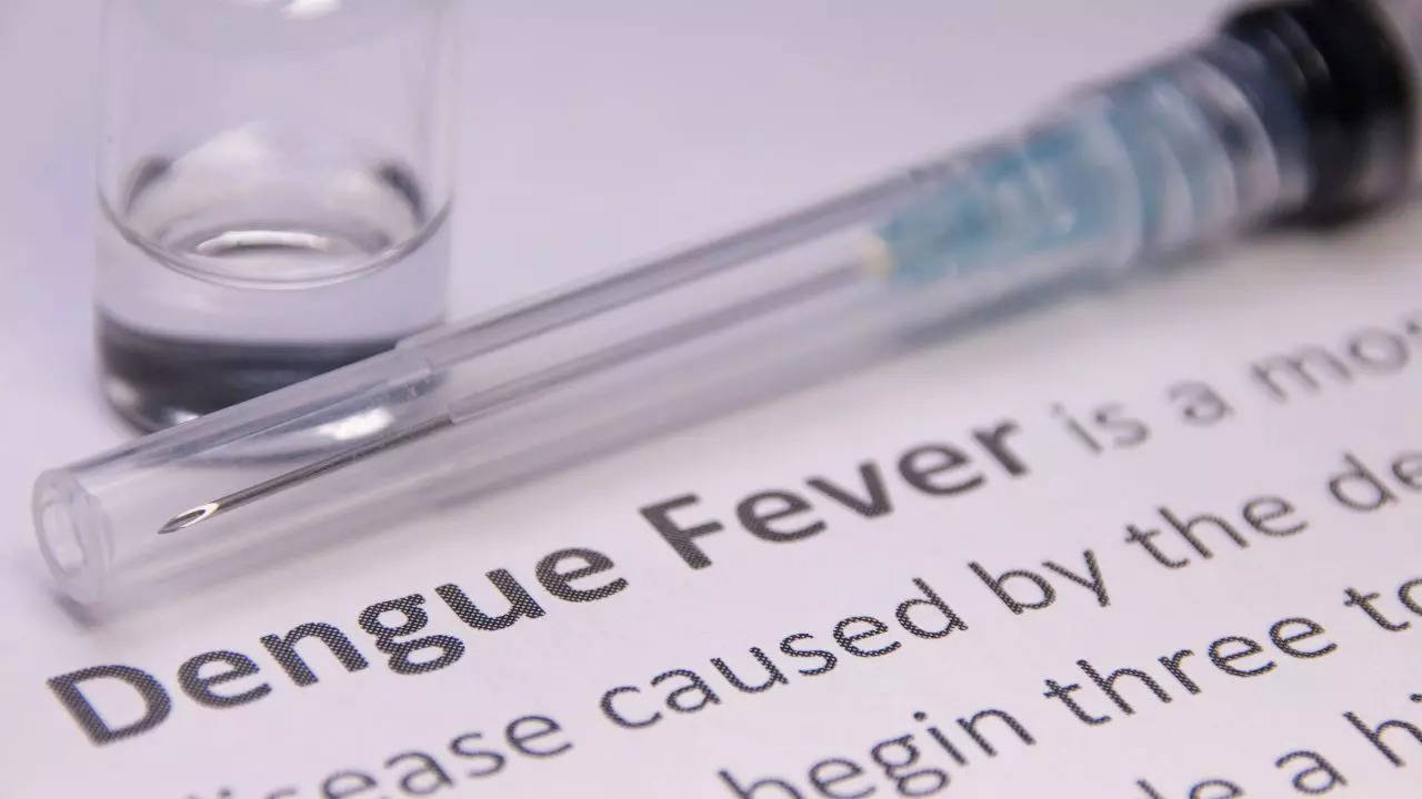 Dengue Fever