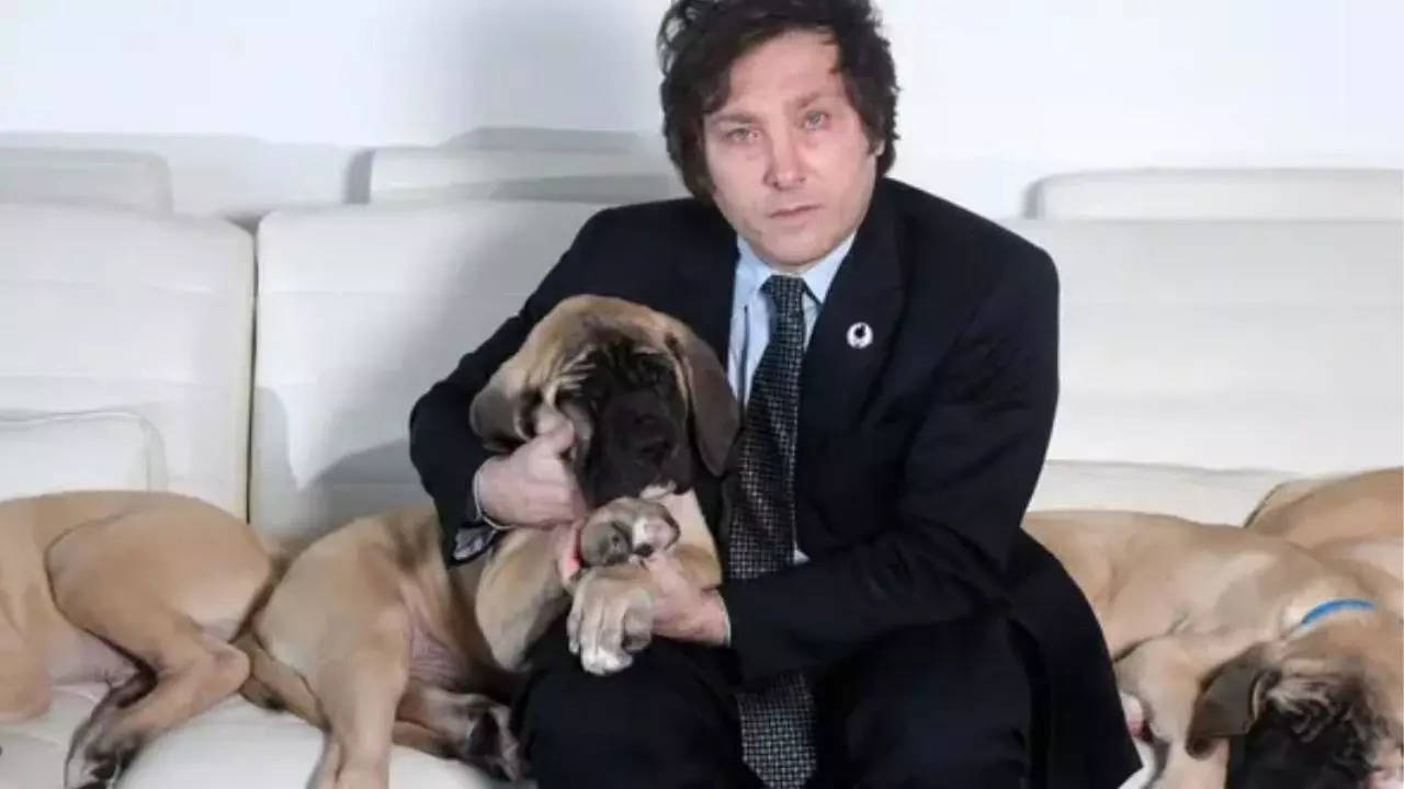 Argentina President Javier Milei Got His English Mastiff Dog 'Cloned' 5 Times