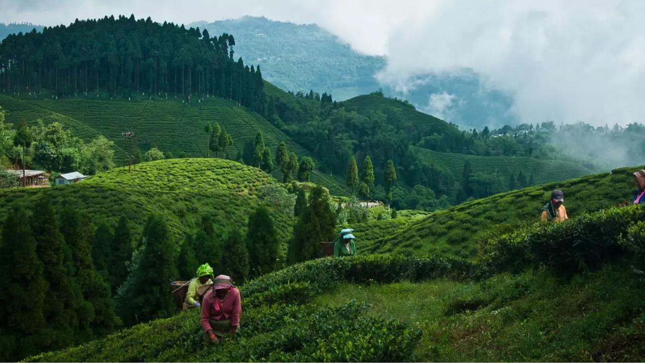 Kurseong is a quiet hill station in West Bengal. Credit: iStock