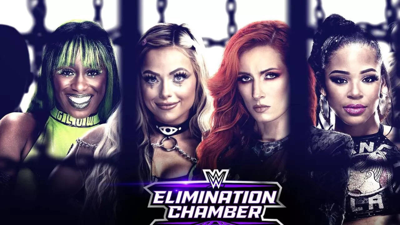 WWE Elimination Chamber 2024