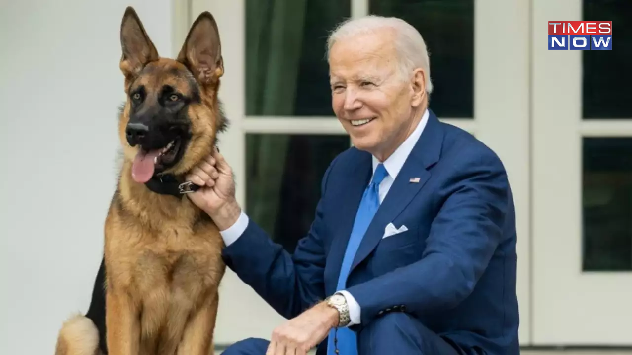 joe biden dog commander