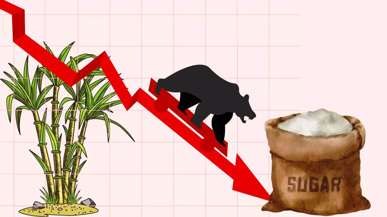 Dalmia Bharat to Balrampur Chinni: Bears Crush India's Sugar Stocks Post Modi Govt's Late Night Announcement on FRP