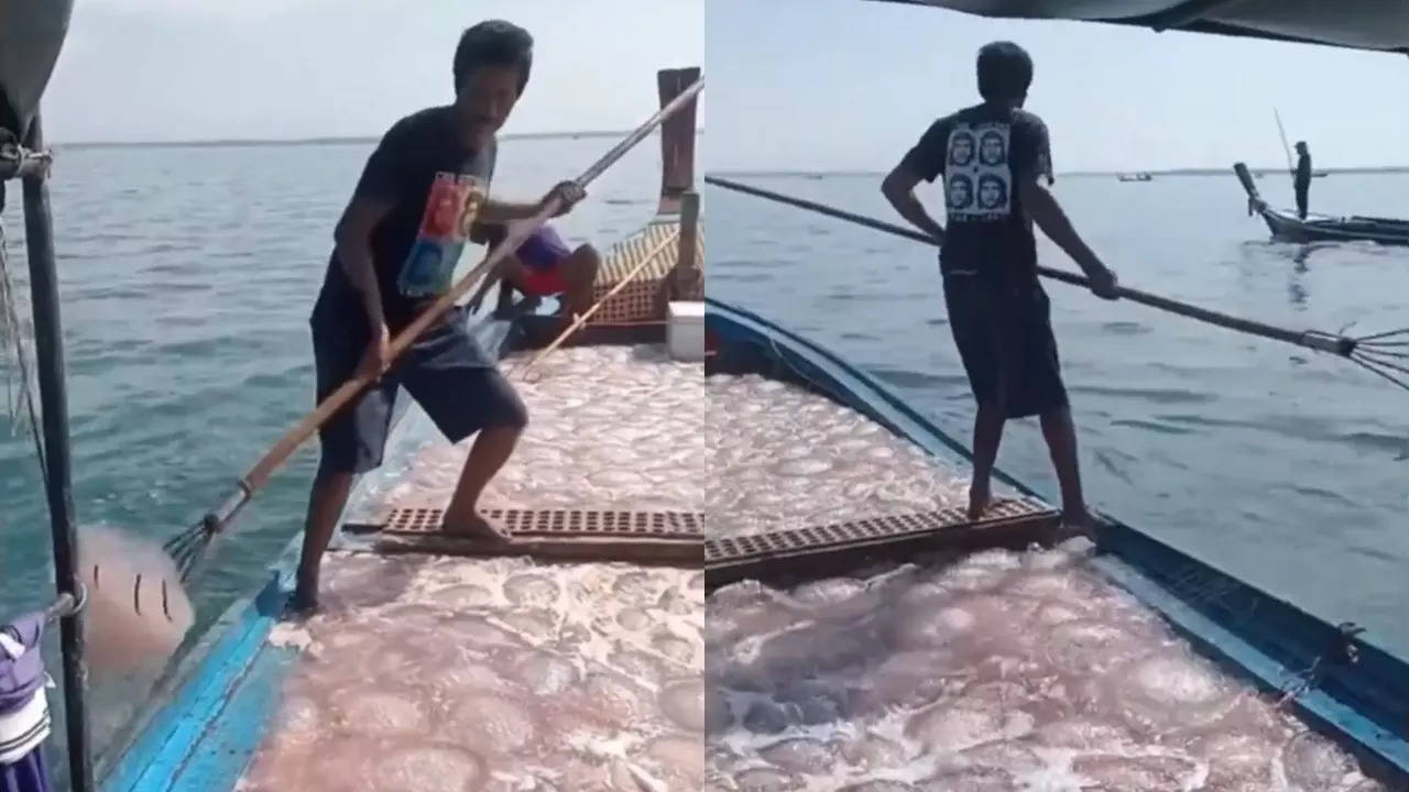 A man catches jellyfish barefoot on a fishing boat. | Screengrab from video via @InternetH0F/X