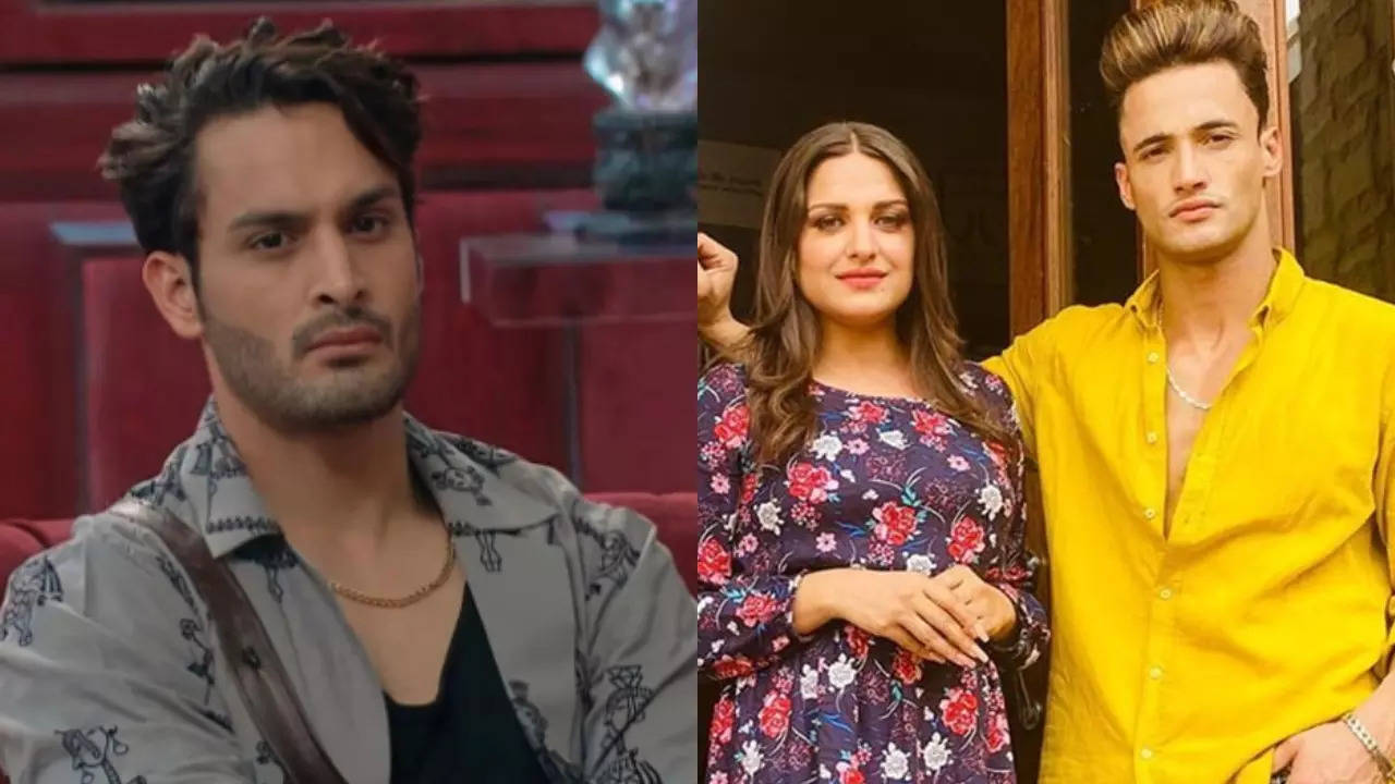 Umar Riaz Reveals How He Supported Brother Asim After Breakup With Himanshi Khurana