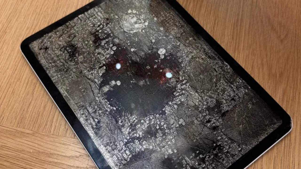 Woman Accidentally 'Bakes' iPad.