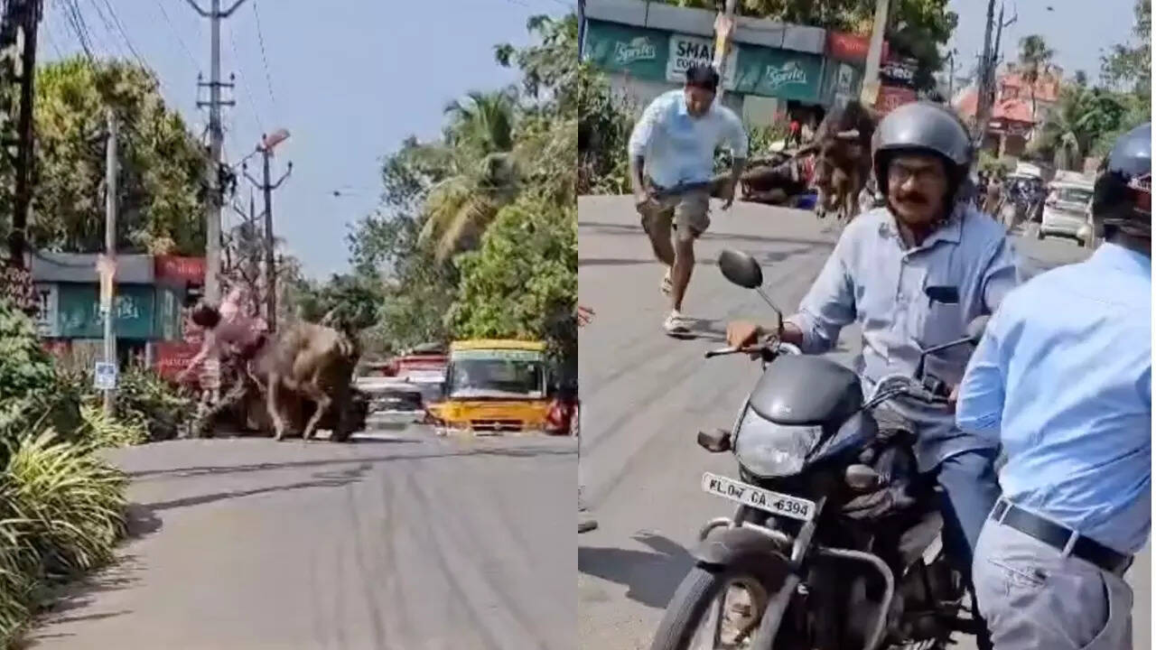 A bull attacks a scooter rider and charges at onlookers in Kochi, Kerala. | Credit: Instagram