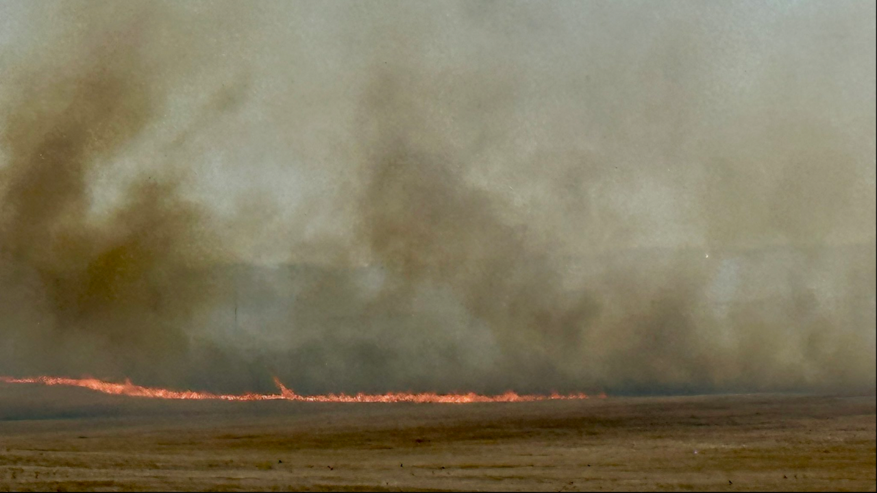 Cheyenne Fire