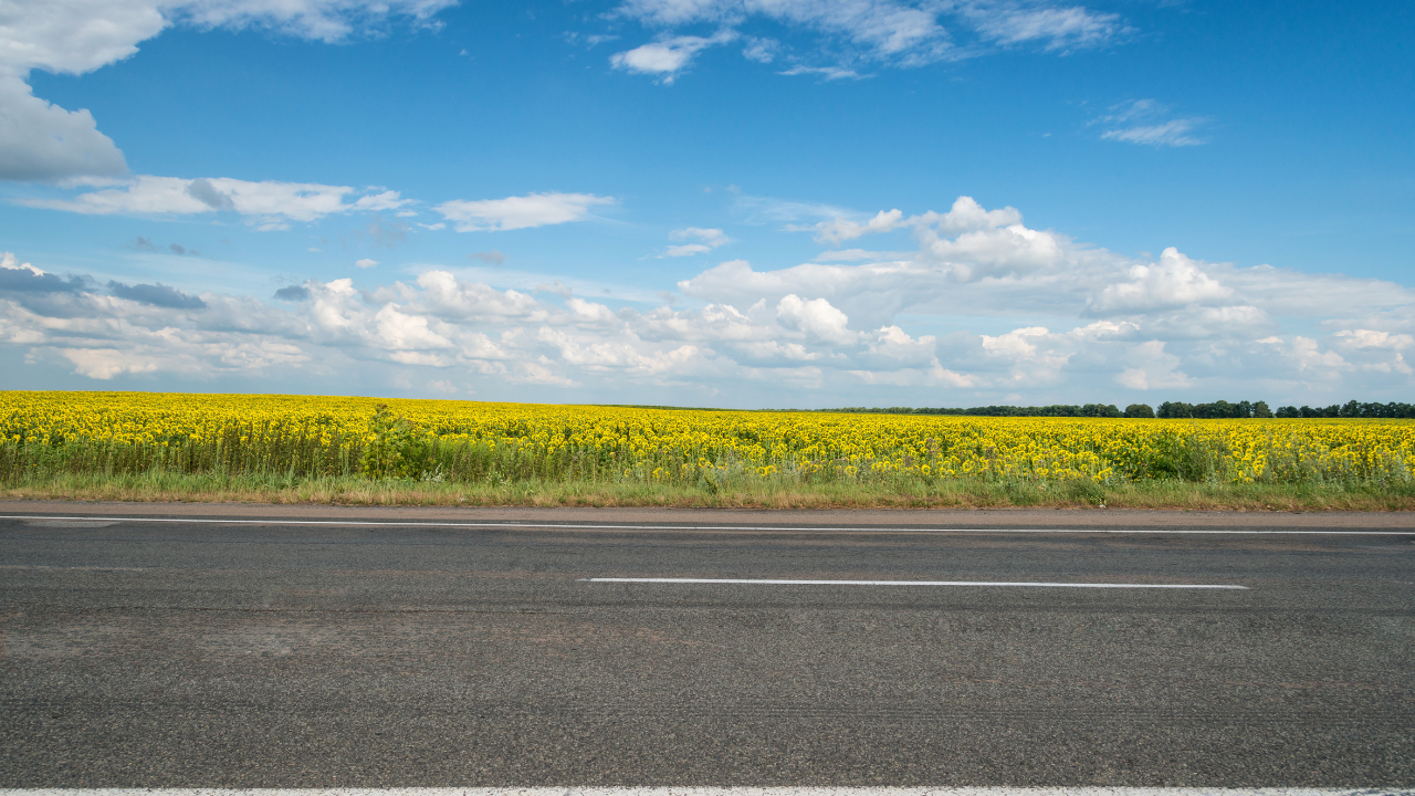 The first phase of Satellite Town Ring Road project from Dabaspet to Hoskote via Doddaballapur is likely to be opened for traffic soon. (Representational Image)