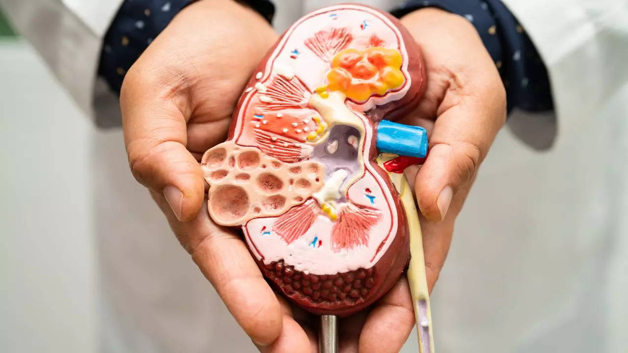 Stages of Chronic Kidney Disease | kidney | With 𝐂𝐡𝐫𝐨𝐧𝐢𝐜  𝐊𝐢𝐝𝐧𝐞𝐲 𝐃𝐢𝐬𝐞𝐚𝐬𝐞, the kidneys don't usually fail all at once.  Instead, kidney disease often progresses slowly years. If caught early,...  | By