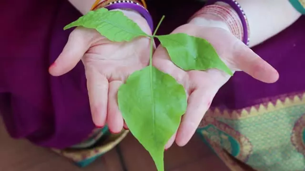 Why is Belpatra leaves offered to Lord Shiva?