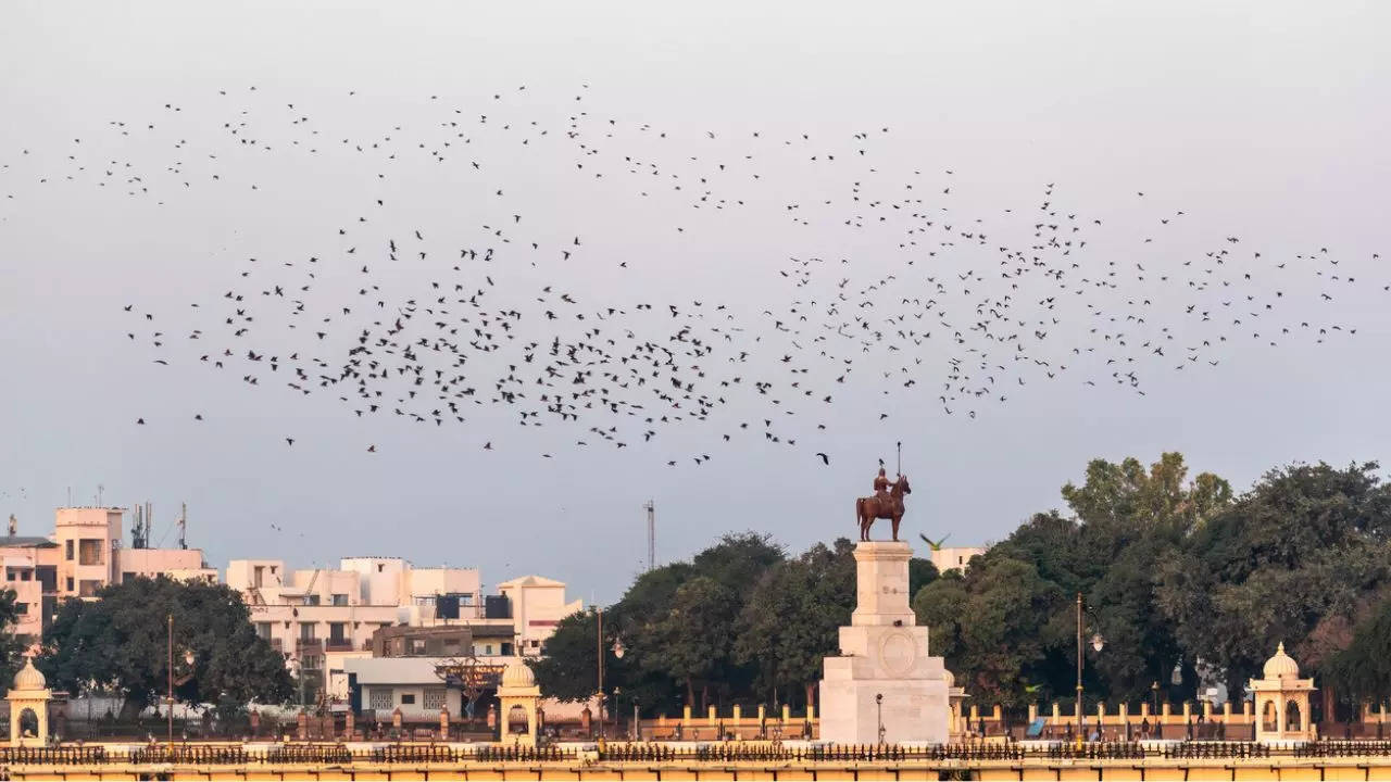 Jamnagar is the venue for Anant and Radhika's pre-wedding festivities. Credit: iStock