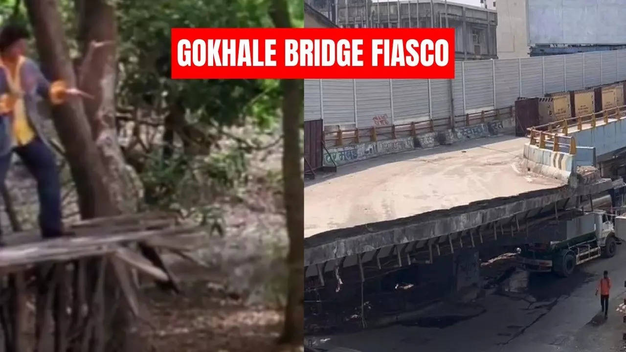 Gokhale Bridge Fiasco