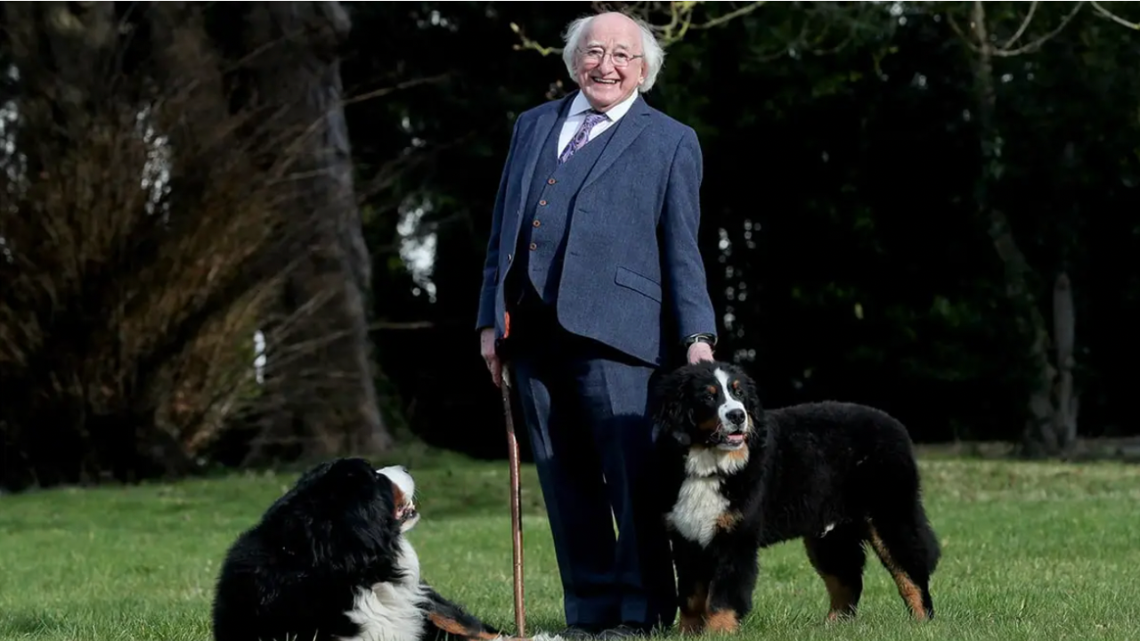 Michael D. Higgins Dogs