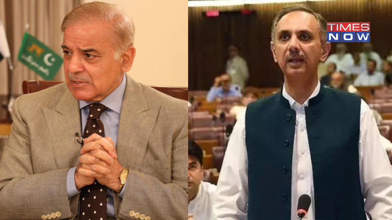 Shehbaz Sharif Vs Omar Ayub: Pakistan's New Prime Minister To Be Elected On March 3