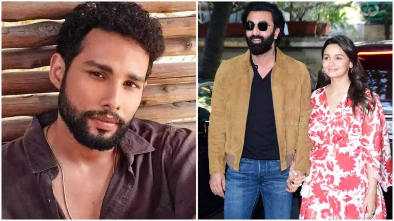 Siddhant Chaturvedi: After Gehraiyaan, Ranbir Kapoor and Alia Bhatt Are The Only Two People Who Had Sent Me A Long Message