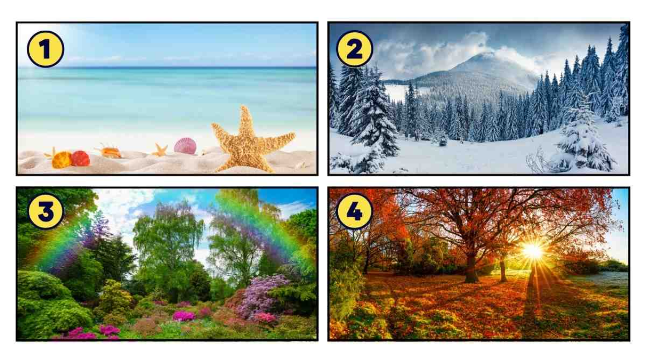 Personality Test: The Season You Choose Can Reveal If You’re an Explorer Or Introvert