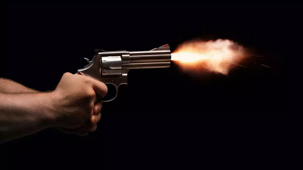 gun