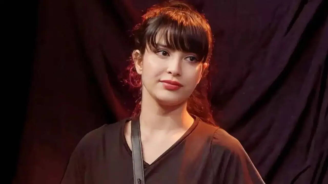 Bigg Boss 17's Khanzaadi Says She Craves Love: 'I've Been Single For A Long Time'