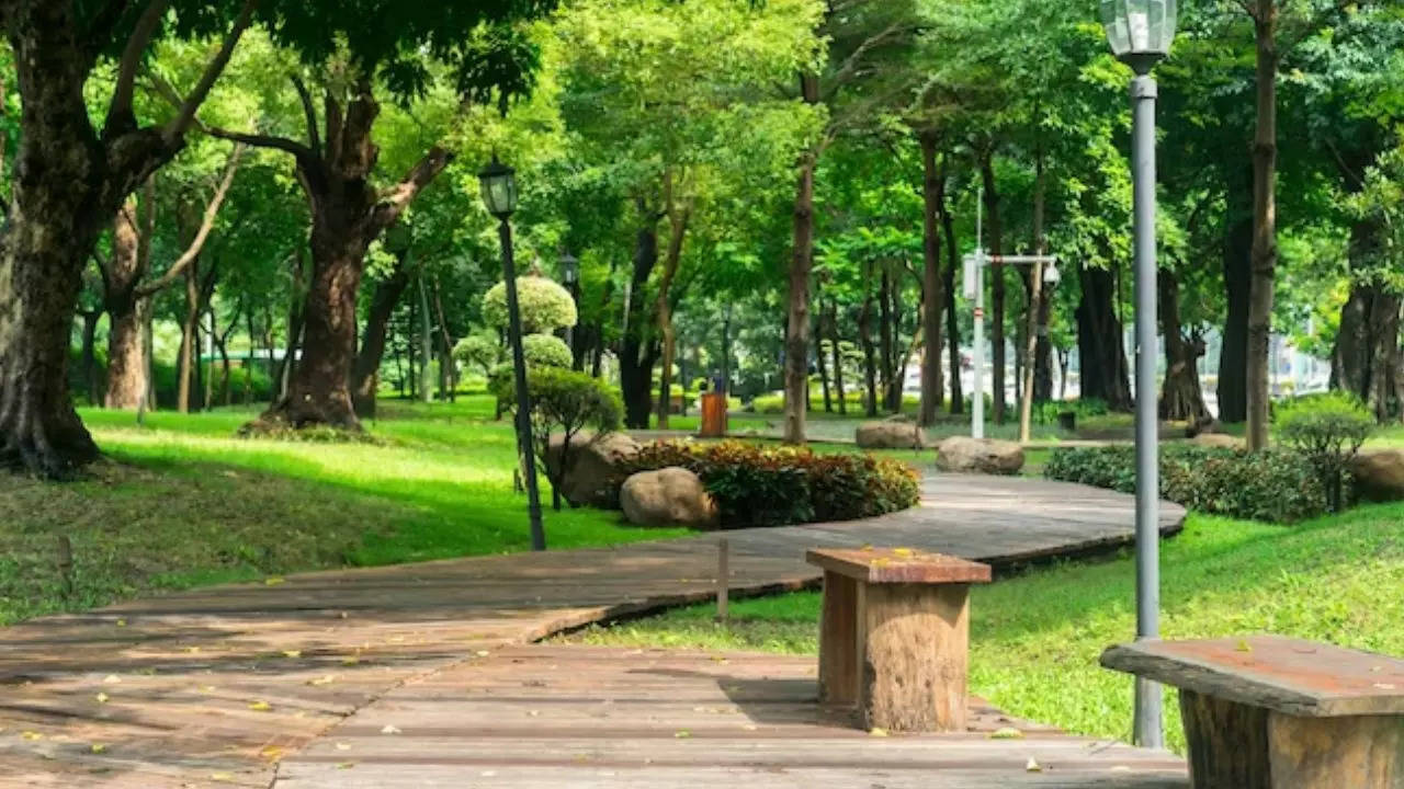 park 