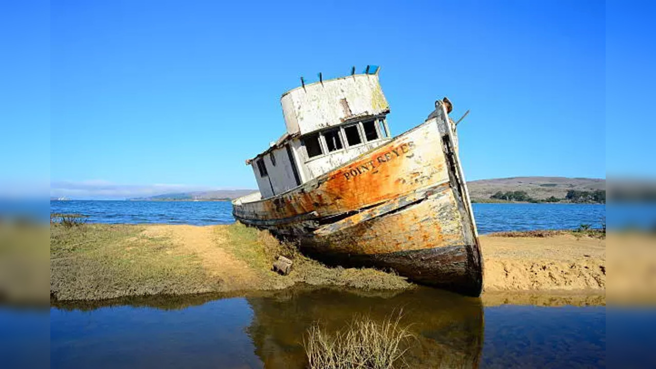 Victorian Shipwreck Found!