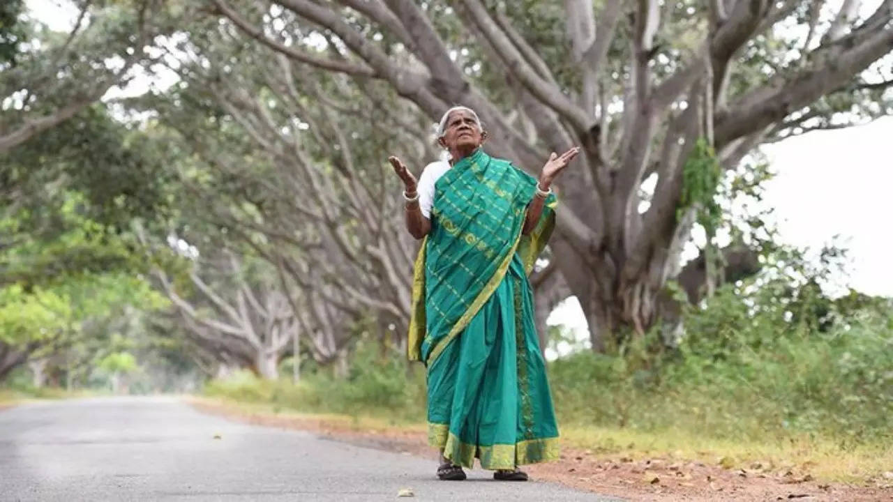 Saalumarada Thimmakka