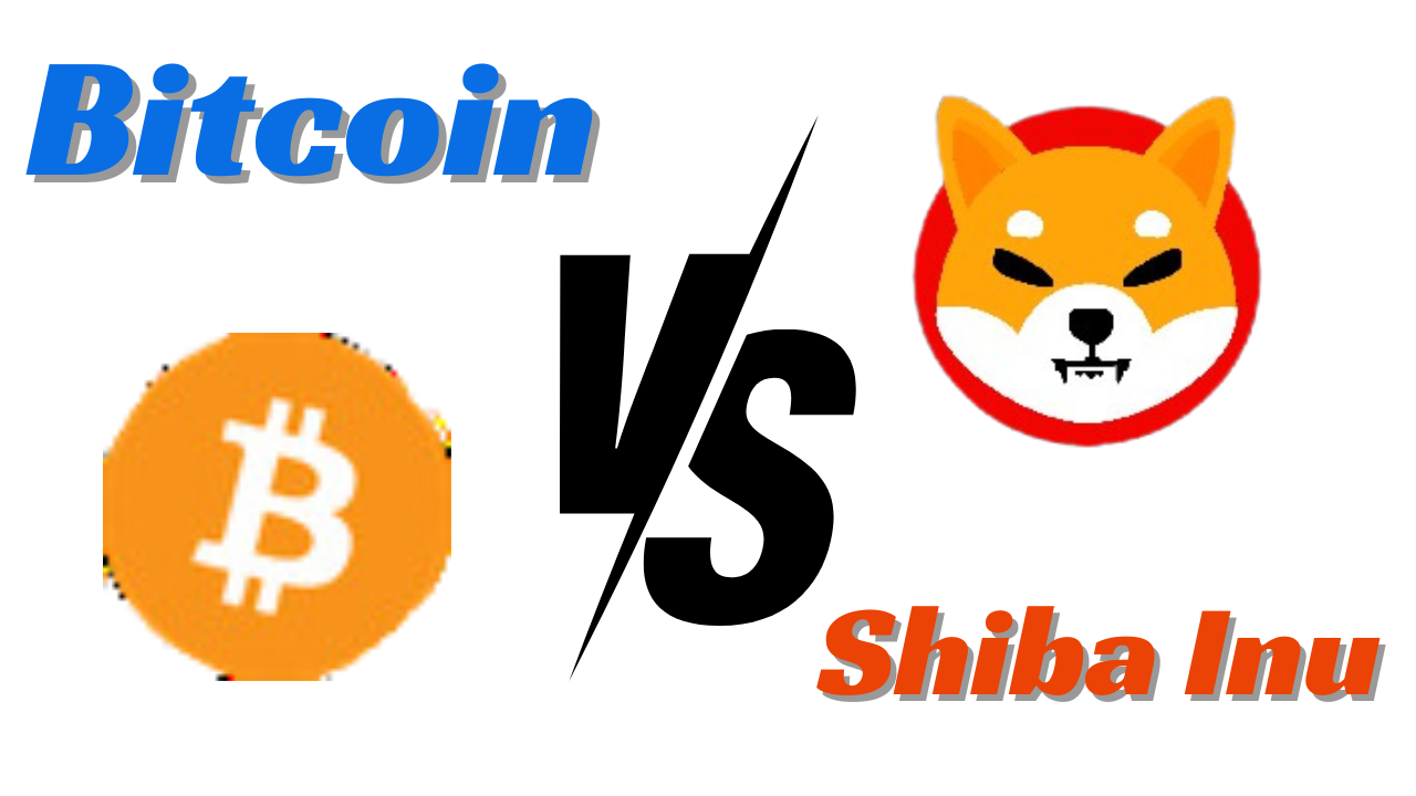 bitcoin price, Shiba Inu, coin market, bitcoin, shiba inu price,ethereum price, bitcoin price today, dogecoin price, shiba inu btc price, coindcx bitcoin, price in india, dogecoin btc usd, shiba inu coin crypto, ethereum price usd, shiba inu coin price