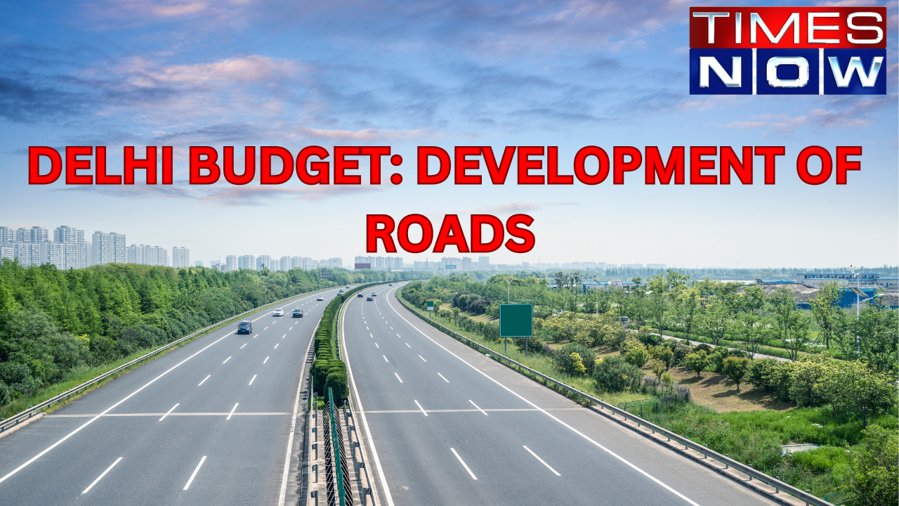 Ahead of the Lok Sabha elections, the Delhi government allocated Rs 900 crore for the development of roads in villages in its annual budget which was presented on Monday.