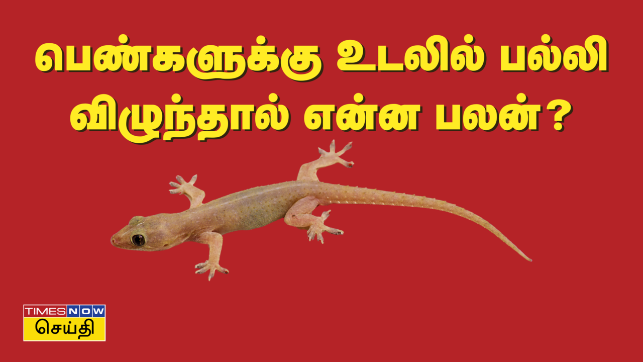 பெண்களுக்கு பல்லி விழும் பலன்