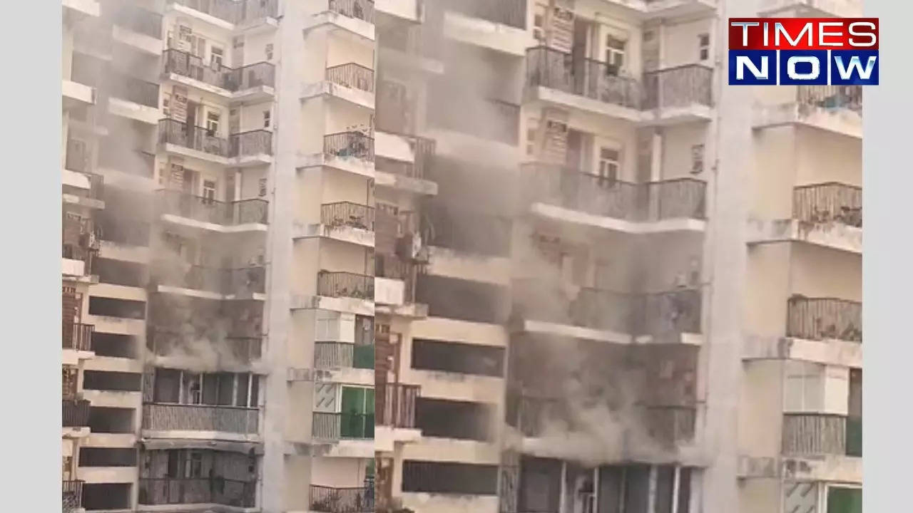 Fire Breaks Out in Noidas Gaur City 2, 16th Avenue | VIDEO