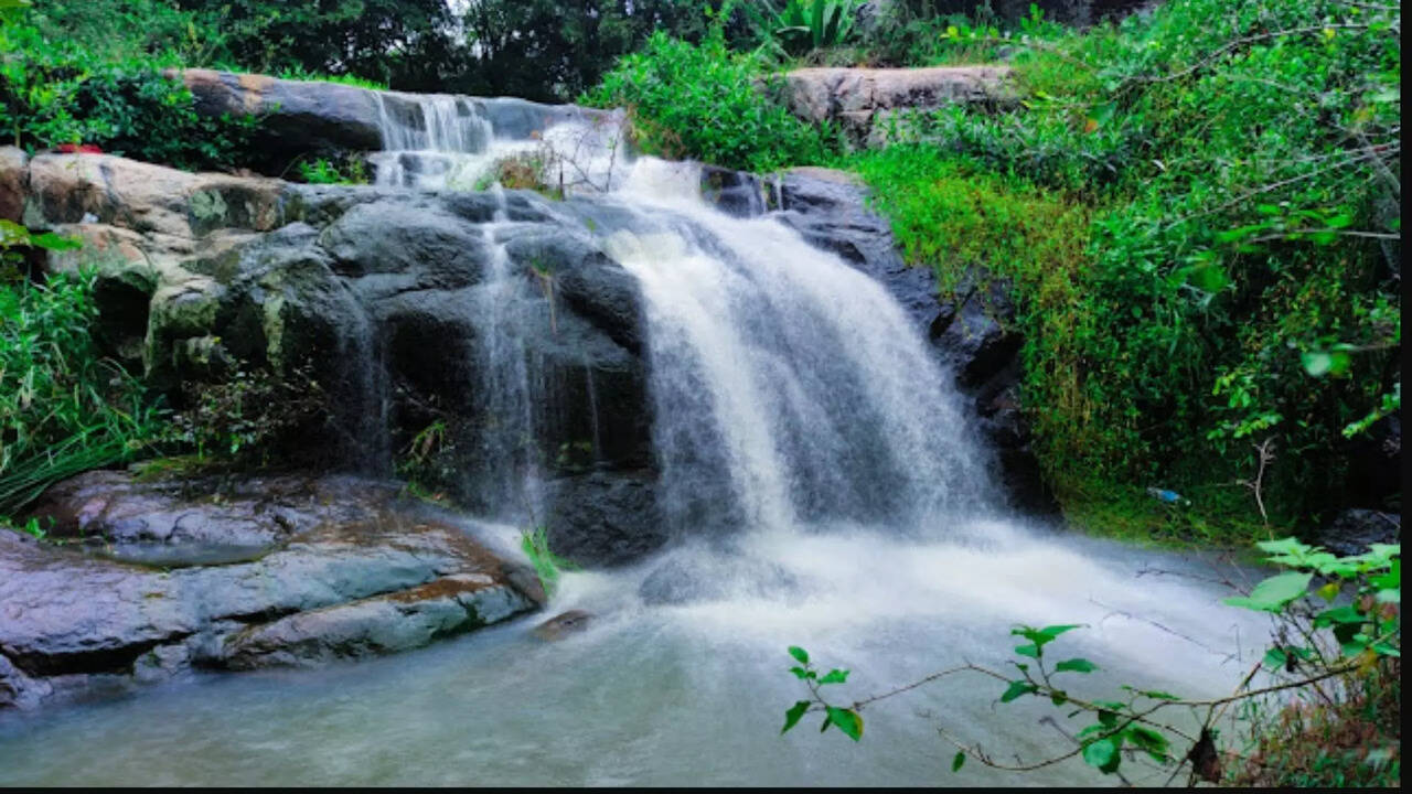  ஊட்டி கொடைக்கானல் எதற்கு? தருமபுரியில் உள்ள இந்த மலைக்கு ட்ரிப் போகலாமே! 