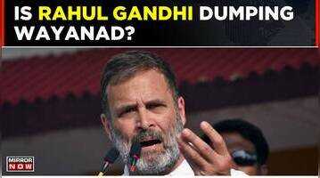 Rahul Gandhis Wayanad Dilemma Congress CEC Meeting Decides Lok Sabha Candidates Road To Lok Sabha