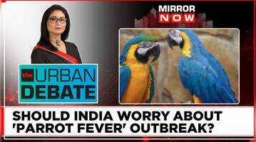 Global Alert Parrot Fever Claims Lives Globally Are Indian People At Risk Urban Debate