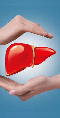 9 Best Drinks That Help In Liver Detox