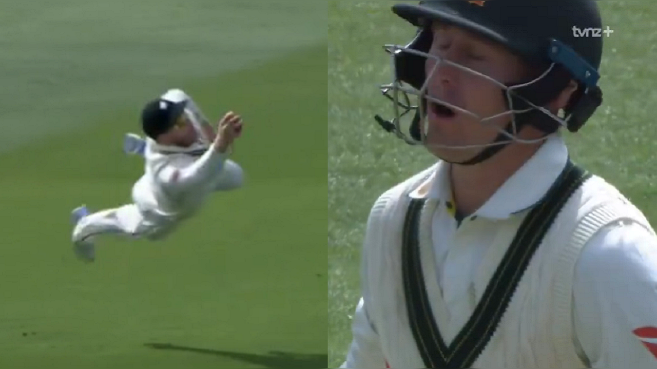 Marnus Labuschagne's stunned reaction after Glenn Phillips takes flying catch to end his innings goes viral