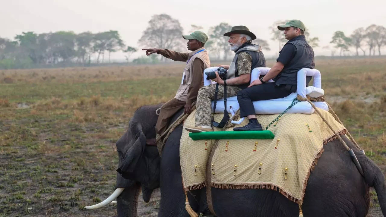 PM Narendra Modi Takes Elephant Safari