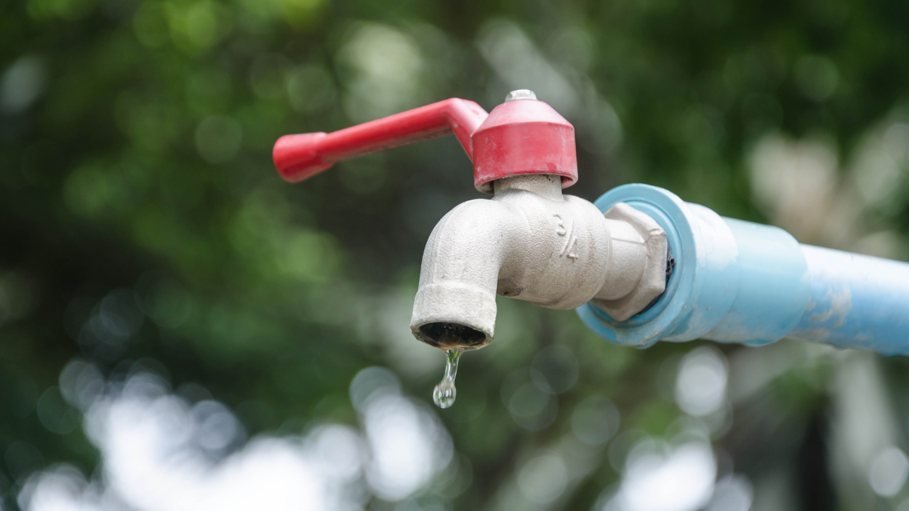 Bangalore: Bengaluru Water Crisis: Drying Lakes to Be Filled With ...