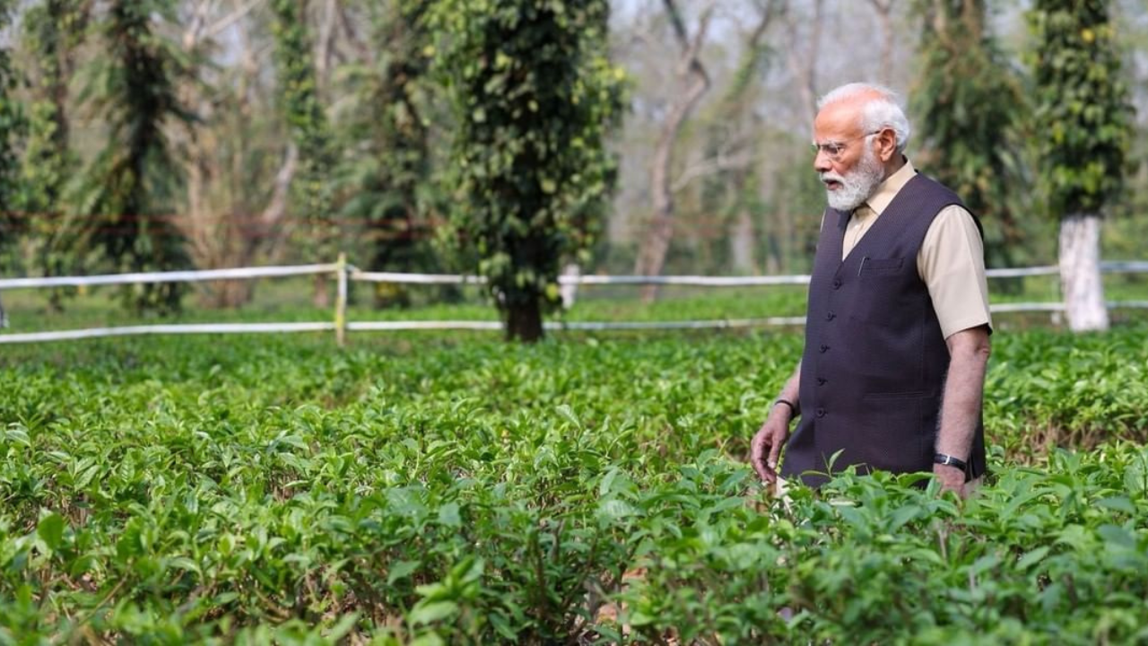 Prime Minister Narendra Modi recently visited the Hathikuli Tea Estate in Assam.