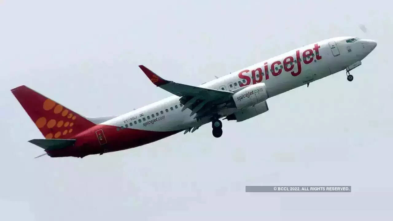 spicejet laid off three senior employees used to cancel scheduled
