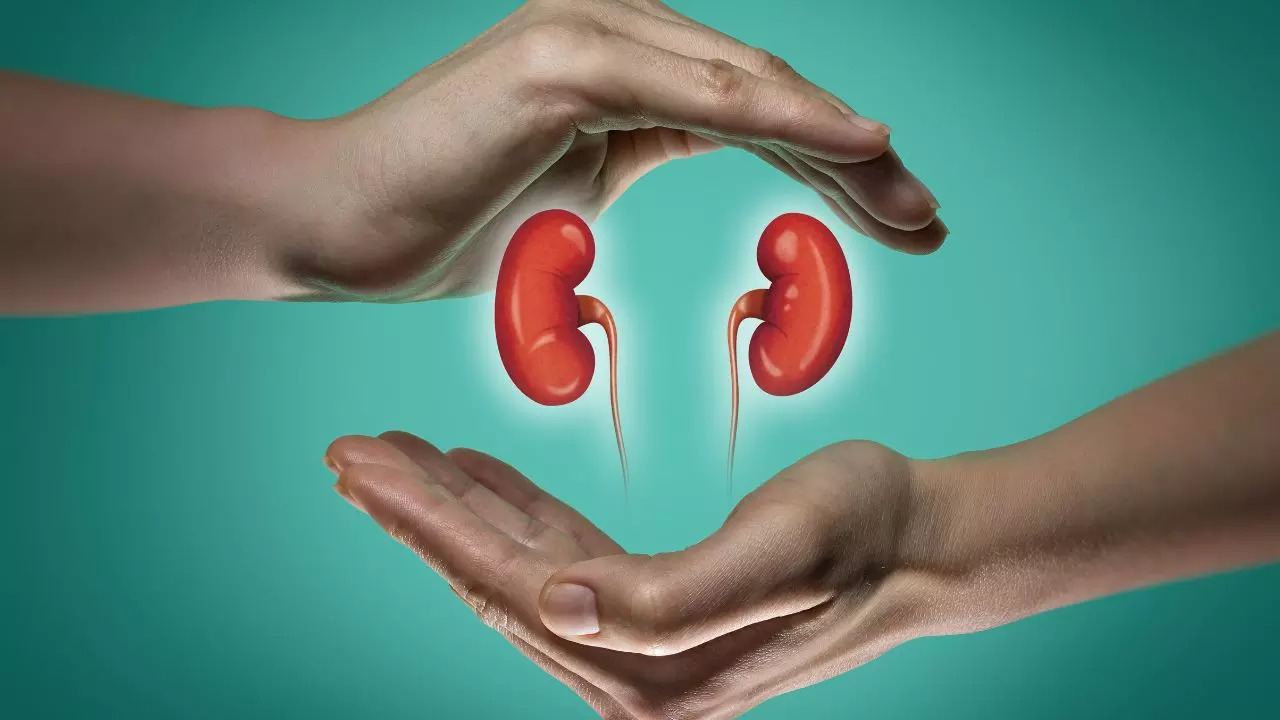 World Kidney Day 2024