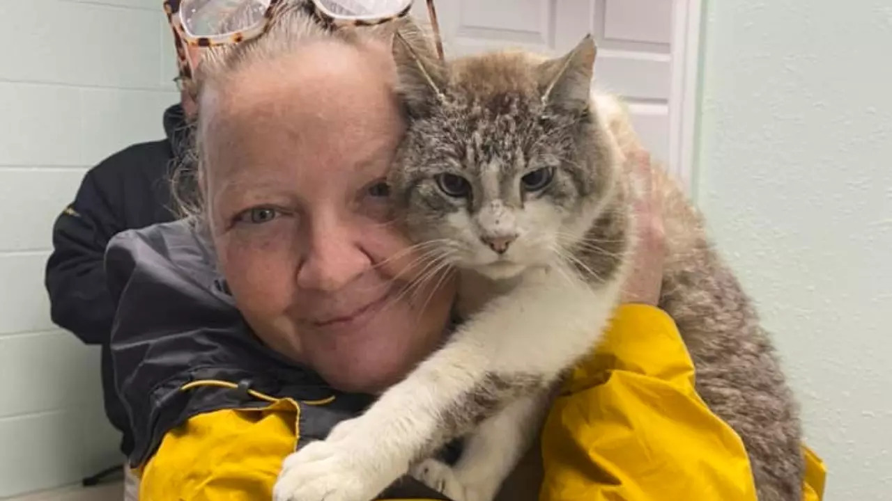 Liz Gillespie reunites with her missing pet cat Kevin after 7 years of straying. | North Georgia Animal Alliance