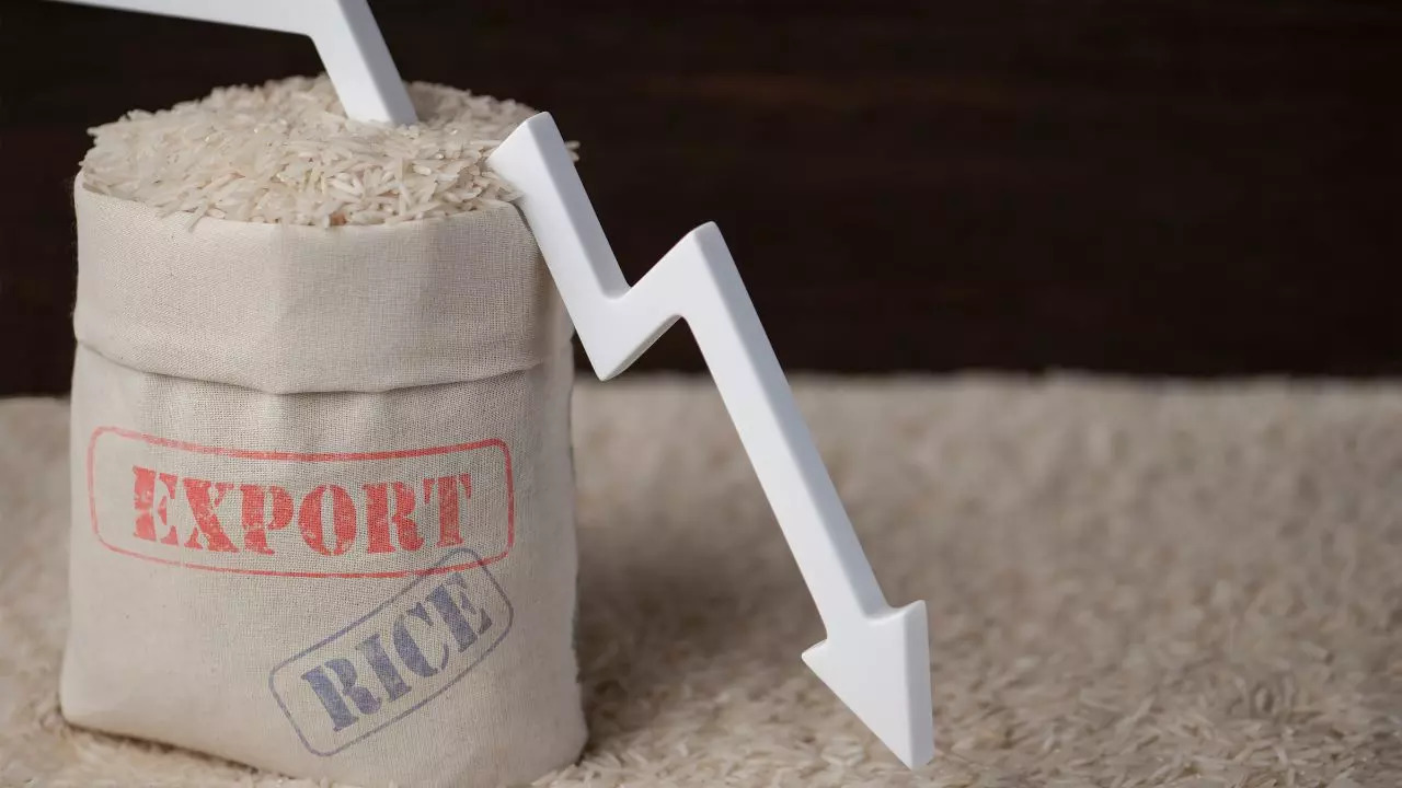 Multibagger FMCG Stock Wins Rice Exports Bid Through Government-owned Cooperative NAFED