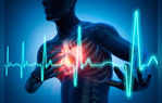 Heart Attack Recovery Regular Check-ups Balanced Lifestyle Are Key To Strengthen Cardiovascular Health