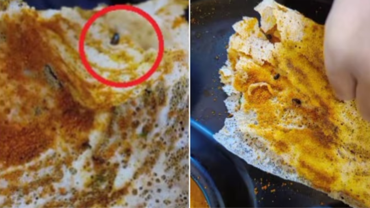 Woman finds 8 cockroaches in Dosa at  Madras Coffee House in Connaught Place (CP)