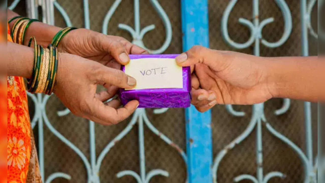 Lok Sabha Election 2024: How Can Voters With Physical Disabilities Cast Their Vote?