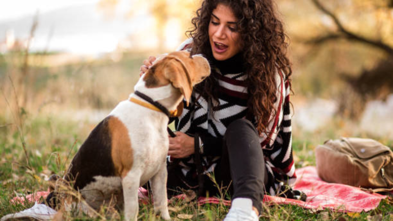 talking with a dog can improve memory